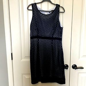 The Limited Business Dress